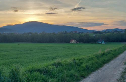 Agroturystyka Bierna. Gospodarstwo rolne. - Foto 6