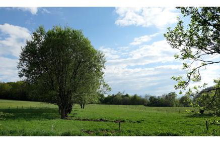 Kozy i Róże - Foto 30