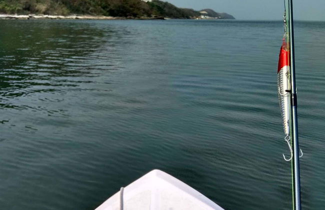 Esperienza privata di pesca a Campeche - Foto 5