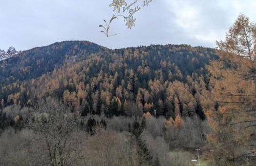 Soggiorno Vacanze Stella Alpina - Foto 61