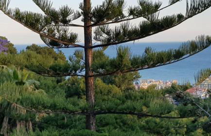 Rentcostadelsol Villa Pinares-Malaga - Foto 43