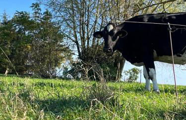 Wald & Wiesen Apartment im Bergischen Land - Urlaub, Köln, Messe & Geschäftsreise - Foto 28