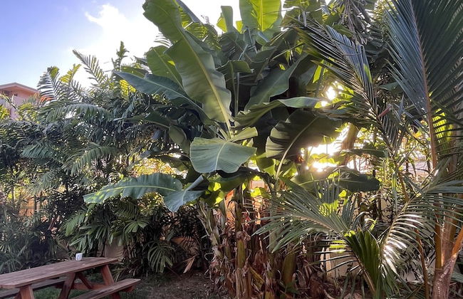 Akule Clubhouse: Awa 1 Bedroom Apt by the Beach 1 Condo by RedAwning - Foto 14