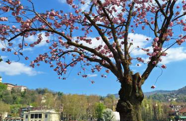 Casa Salvia - Foto 45