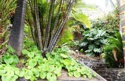 Finca Doña Juana - Foto 18