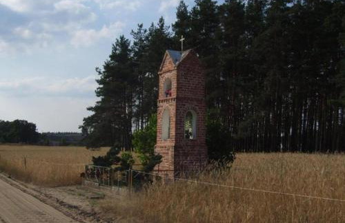 Dom Pod Brzozami Lipinki Bory Tucholskie basen - psy, koty mile widziane! - Photo 38