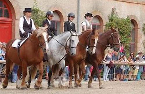 Le Krogen - Photo 47