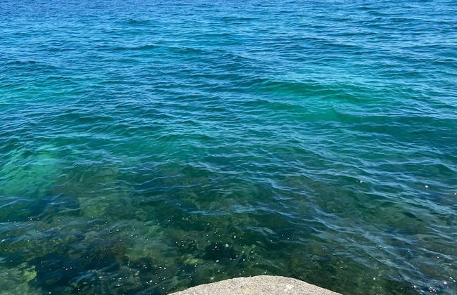 Soothing Holiday Home Green Life - Photo 37