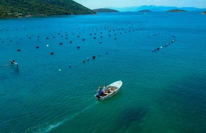 Robinson Dora - Foto 6