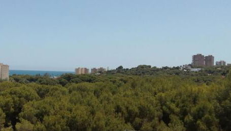 Campoamor Seaview - Foto 5