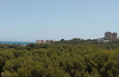 Campoamor Seaview - Foto 5