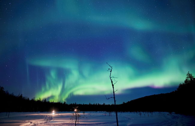 Villa Happy Fox - Foto 64