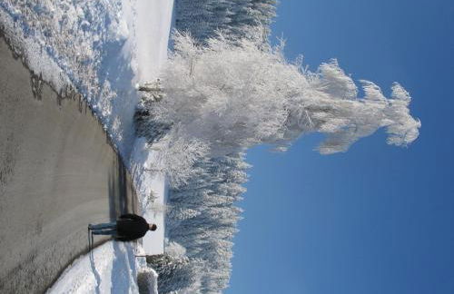 Haus Diesenhof - Foto 29