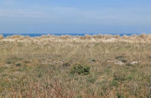 Ferienhaus Dünenhaus - Foto 1