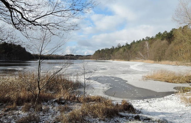 Old Zerwelin Forestry Company - Foto 13