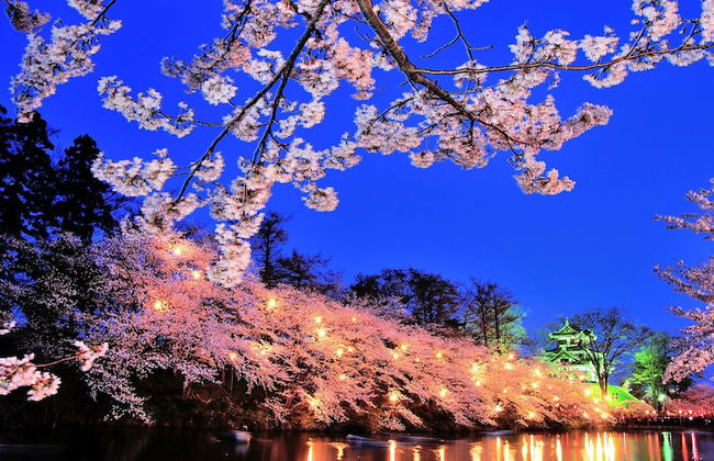 Myoko Onsen cottage Ajisai - Foto 36