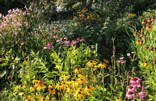 Gartenhaus Frieda - Foto 12