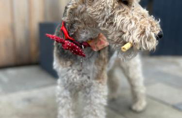 Stylish 1-bed Studio in Humberston, Cleethorpes - Foto 23