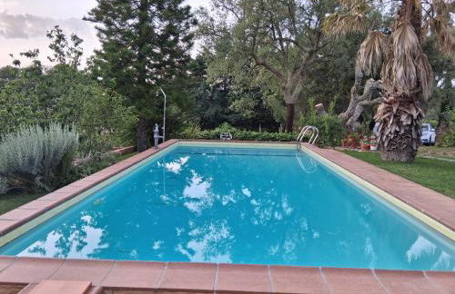 Monte do Rei Santo - Foto 55