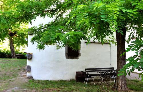 Holiday Home Istrien Traditionelles Steinhaus 8 by Interhome - Foto 1