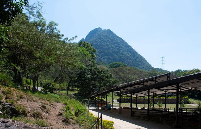 EcoHotel Montenegro - Photo 27