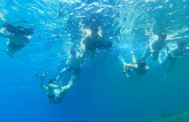 Mykonos Private Island Tour com paragem de snorkeling - Foto 3