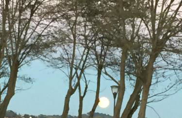 Studio Haut De Bordagain Ciboure - Foto 65