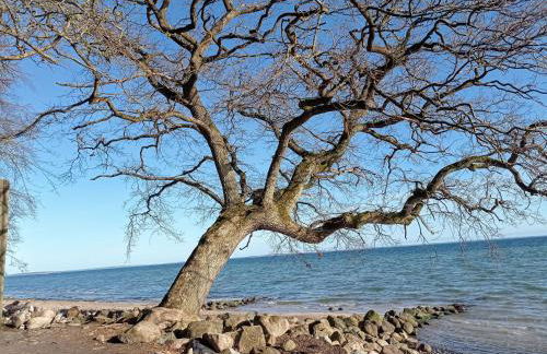 Ferienhaus Ebsen HH 1 - Foto 19