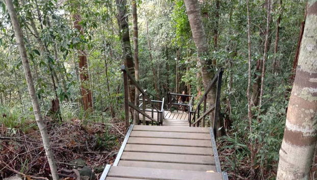 Promenez-vous dans la jungle Taman Negara