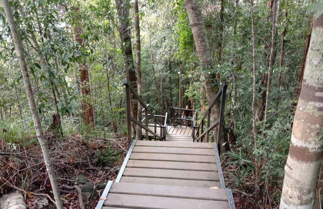 Excursion dans la jungle Taman Negara - Photo 5