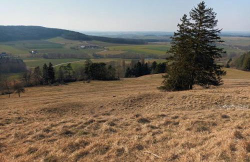 Ferienhof Veit - Foto 39