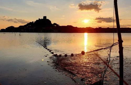 Au Canalet - Le Somail - Foto 15