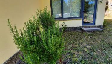 Ponte de Lima- Turismo rural - Aldeias de Portugal - Foto 5, Garden, Garden view
