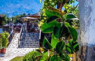 Corali Studios & Portobello Apartments - Foto 26