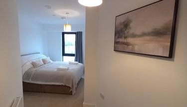 Central Modern and Spacious River view Apartment with parking - Foto 5