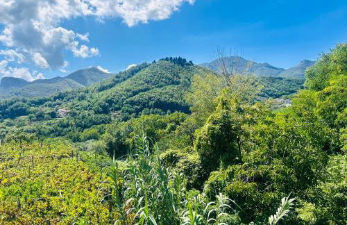 Campinola Holiday Home PRIVATE POOL - Foto 9