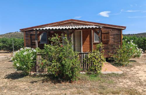 Montana-Camping-Fayon - Foto 9