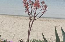 APARTMENT TSAIRA - Photo 42