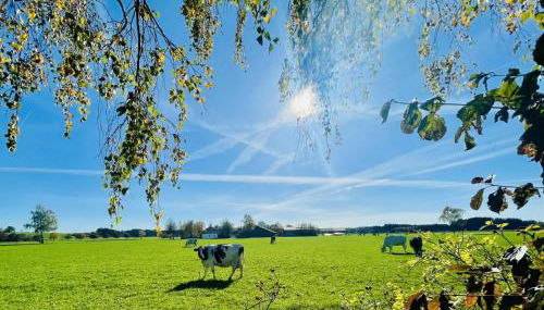 Charmantes Ferienhaus Luise im Allgäu - Foto 2