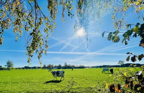 Charmantes Ferienhaus Luise im Allgäu - Foto 2