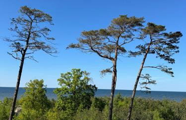 Blue Apartament z widokiem na morze Dziwnówek - Foto 9