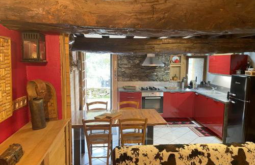 Grange rénovée, Pyrénées Ariégeoises, Gîte haute Ariège - Foto 22