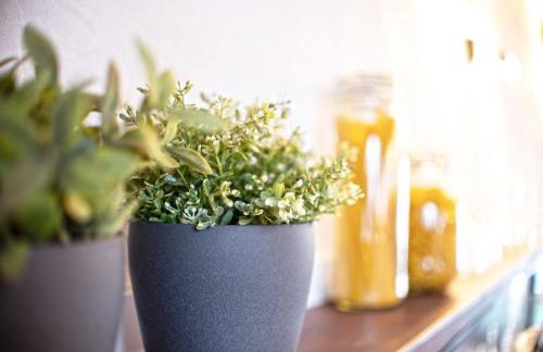 Haus8 – dein Genussferienhaus - Foto 10