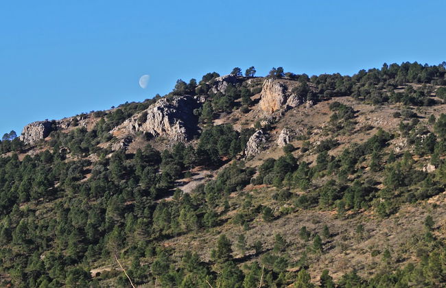 Residencial Turístico Vega-Sierra - Foto 20