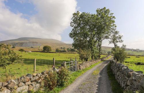 Ffynnon Bach - Foto 34