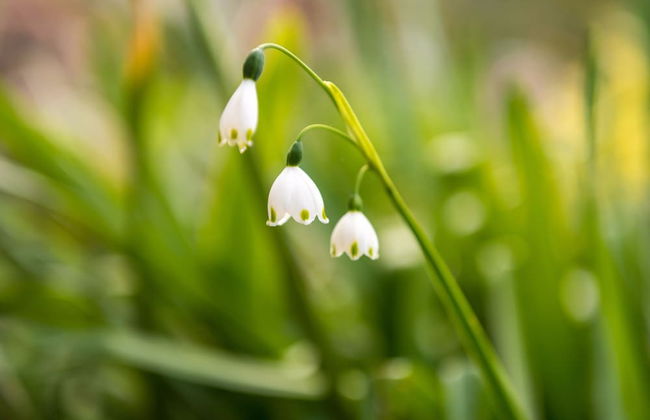 Craicor Accommodation - Foto 36