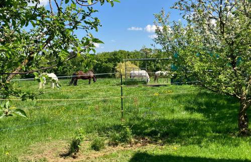 Wohnung mit Bergblick - Photo 8