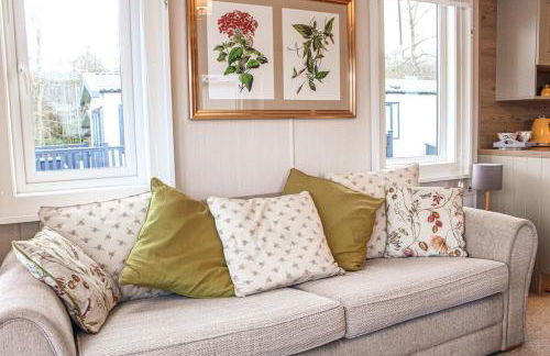 Bumble Lodge New Forest - Foto 48