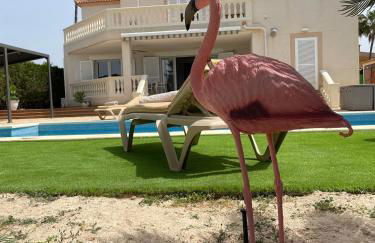 Schönes Ferienhaus Caesar mit großem Pool und Garten - Foto 40