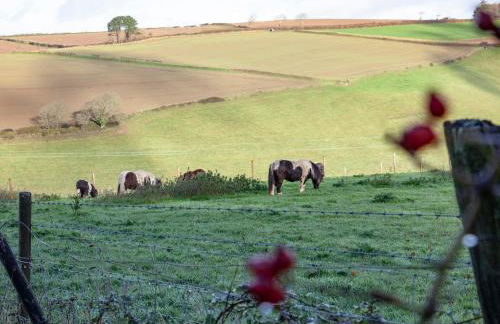 Hayloft - Uk48766 - Foto 19